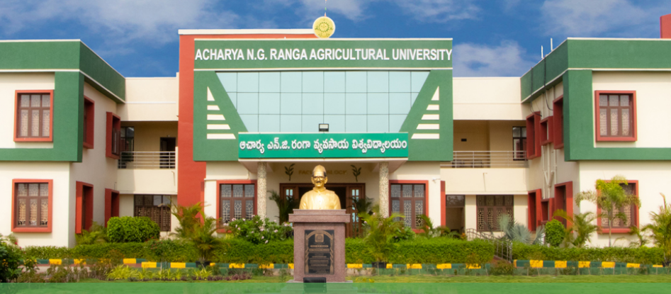 University Image