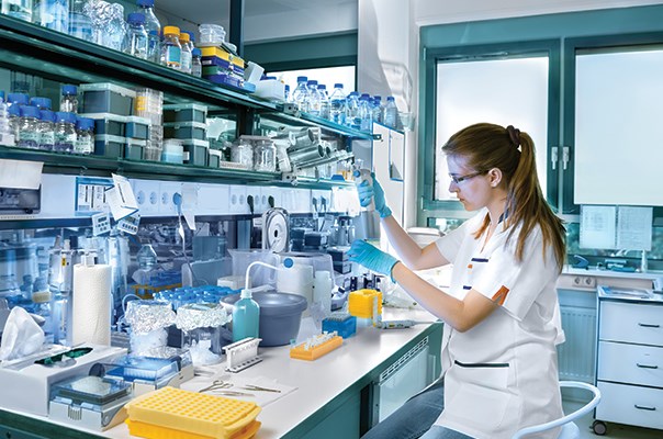 University Image