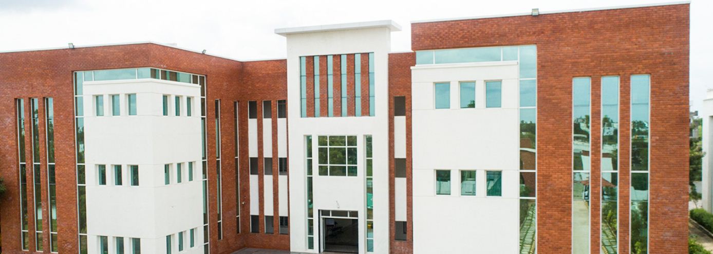 University Image