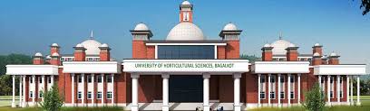 University Image