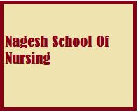 Nagesh School Of Nursing Hassan logo