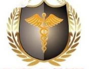 Nidhi College of Nursing Chikmagalur logo