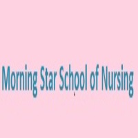 Morning Star School of Nursing Adimaly logo