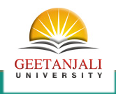 Geetanjali College of Nursing Udaipur logo