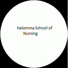 Halamma School of Nursing Bagalkot logo